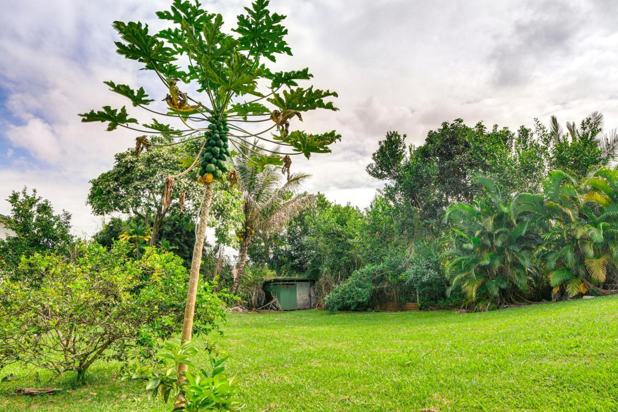 Charming Historic Hilo House Minutes To Beach! Ngoại thất bức ảnh